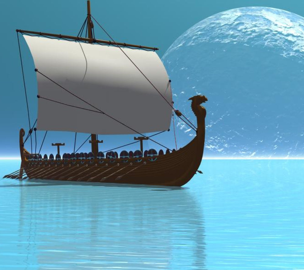 Viking Jewelry Life